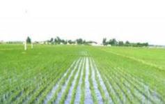 ˮ���~��ʩ������Щ��̎��ˮ���~��ʩ����ע�����