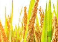 ˮ����������ʩ�����ʣ�ˮ������ʩ�ʼ��g