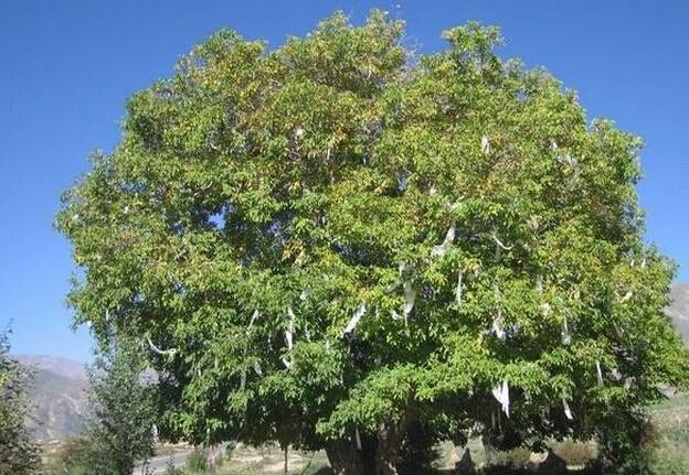 ���ҵ����L��������Щ�A�Σ������A�����ʩ�ʣ�