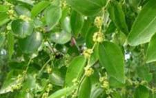 ӛס�@����ʩ����׌��җ������M����