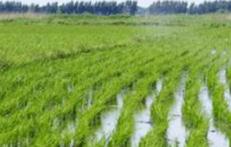 ˮ���߮a���ʩ�ʣ��r����Ҫ������Щʩ�ʼ��g����