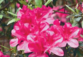 ���N��ʩʲô�ʺ������N���x��ʩ��ע�����