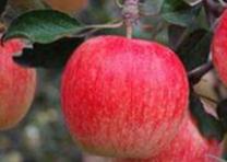 ⛷ʱ��Q�顰���ʡ����O��ʲô�r��׷⛷���