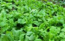 �߲����＾����ȱ�}�������߲�ȱ�}�Y����u