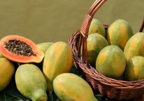 ����Nֲ����ľ�ϸ߮a���༼�gԔ��