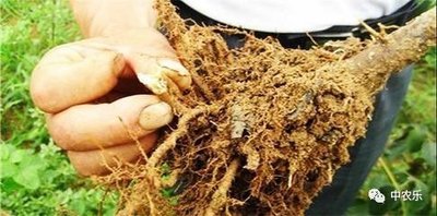 ����(sh��)��������զ�����ƌW(xu��)ʩ���A(y��)������(sh��)����