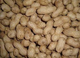 �������ʵ�����ɶ�ã���������ʩ��ע�����