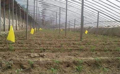 ���g�����x���м��ɣ����g�����x��ע�����(xi��ng)