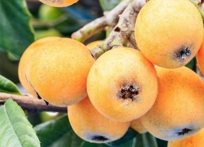 ���˸߮a(ch��n)���ʩ�ʣ���������Щʩ�ʷ�����