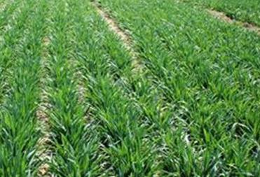 2019��С��ʲô�r��׷�ʱ��^�ã�