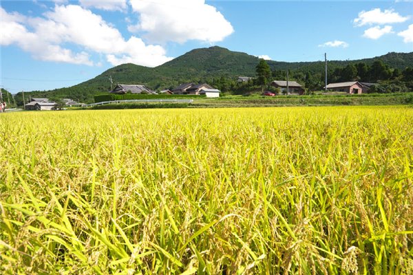 �������r�I(y��)�r�岿�l(f��)�����˲��ЙC��������ʼ��gָ����Ҋ