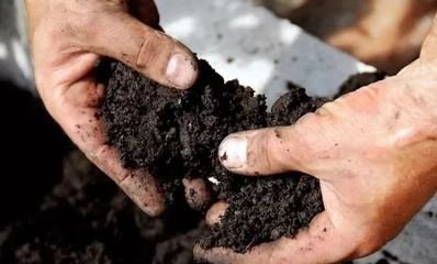 ʩ�þ��ʺ�Ч�������@�����ʿƌWʩ�ü��g