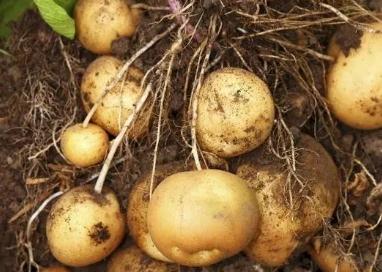 �R������������νo�R���ʩ�ʣ�