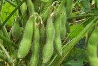 ë���Nֲ�����߮a����ë���߮aʩ�ʼ��g