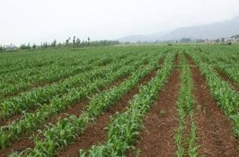 ��Ч���á����r(ji��)�񡰵͡����l���l�����d����