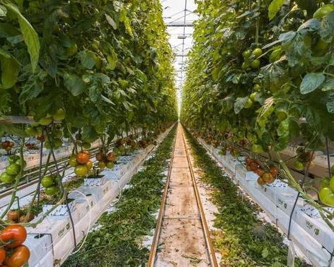 �����߲�ʩ�ʣ������@Щ���������a(ch��n)����