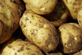 2019���ﶬ����С�����Ͳˡ��R����@���÷�