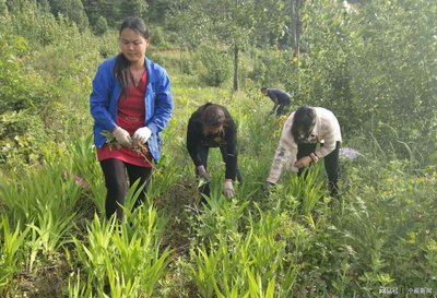 ���Ҏ�ܴ���e�Nֲ��ˎ�ĵ��`�^��