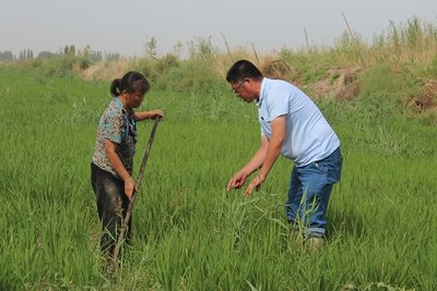 ˮ���Nֲ�x���_���ϣ����ʩ����ʹˮ���ճɺã�