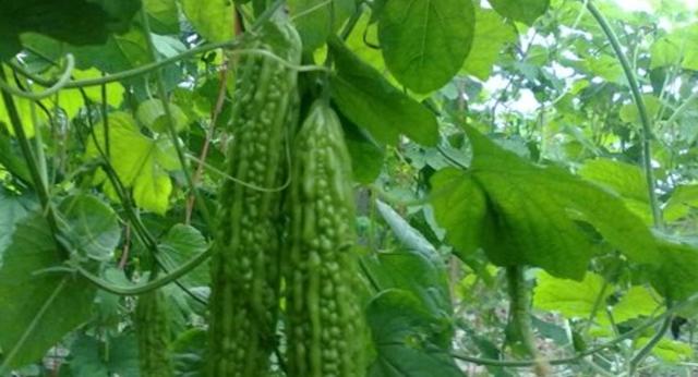 ���ʩ�ʺ��P(gu��n)�I�����ʩ�ʼ��g(sh��)Ҫ�c(di��n)��B