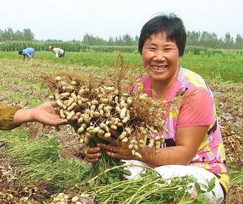 ���������~��ʣ���Ч�A���S����