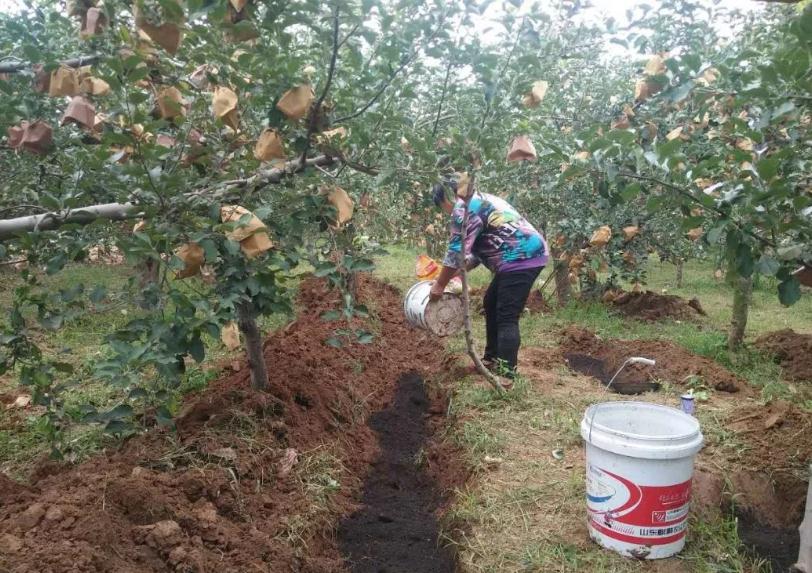 ����ʩ�ʵ�8��ӣ����˲����ˣ��s�������