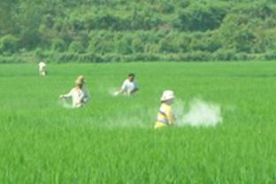 2019���ﶬ����Ҫ�r����ƌWʩ��ָ����Ҋ