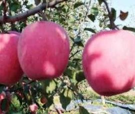 ��ô׌�O������������ƌW׷ʩ⛷����P�I