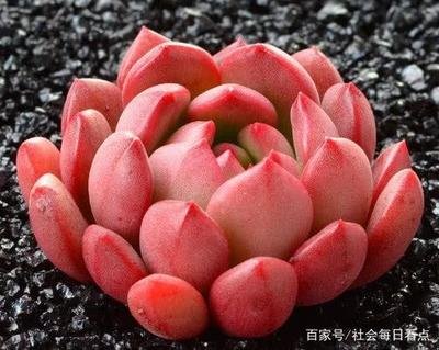 ������ô��׃�t�أ�