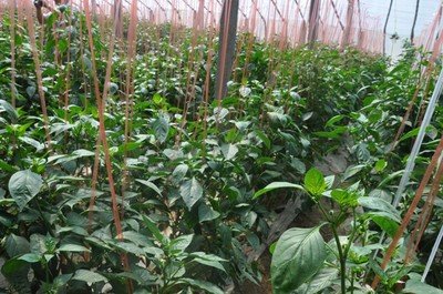 �����������ʩ�ʣ����Ӄ��|�߮a�溆��