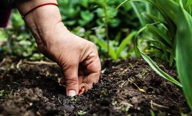 ���ʞ�ʲôЧ�����ã��@���Ǿ���ʩ�õ����_����