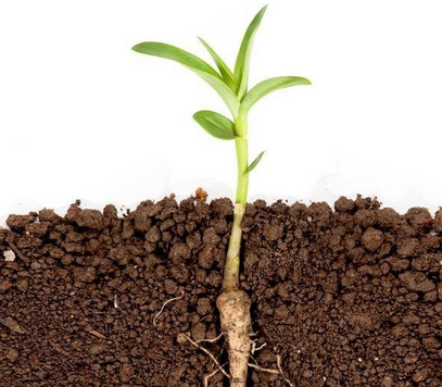 �W���ƌWʩ���÷ʣ����a���ձM������֮�У�