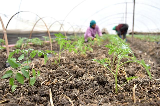 ���ѷʺ�Σ���󣬷��Ѱl���ʺ���Q��ʩ��