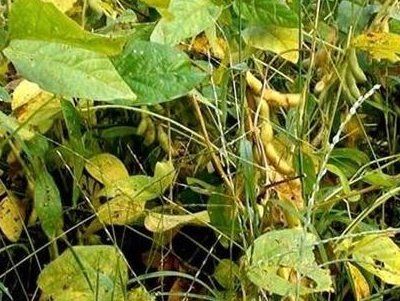 ˮ�ܷʵġ���١������֪���᣿