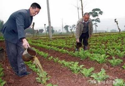 �r������ע�������@ôʩ�ʾ����������