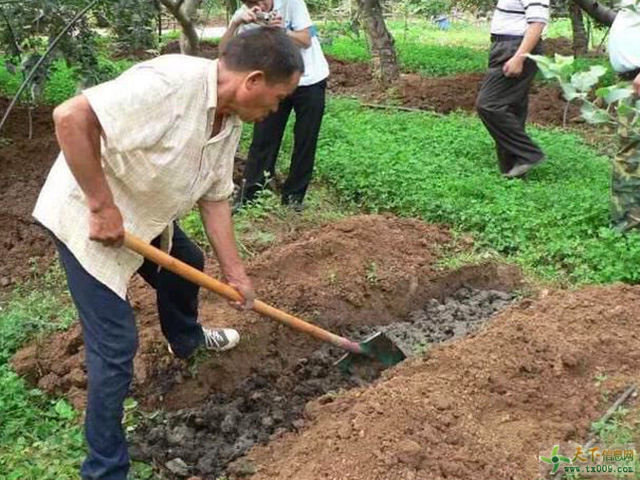 �����롰���������ʣ����ʲ����^�L(zh��ng)������������