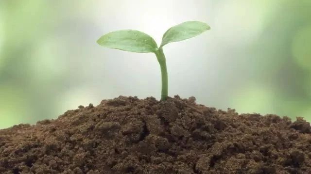 �o�O��̫�O��̫�O���Ƀx��������ʩ��Ҳ��(hu��)�������ˡ�