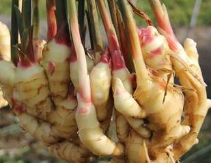 ������ôʩ�ʣ��������ʩ�ʹ�����