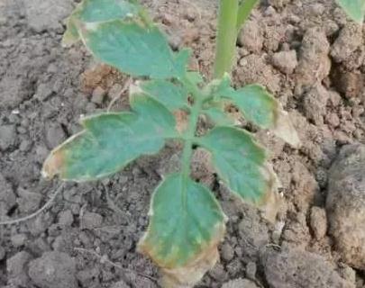 ʩ�ʕr���׷����e�`����Щ��