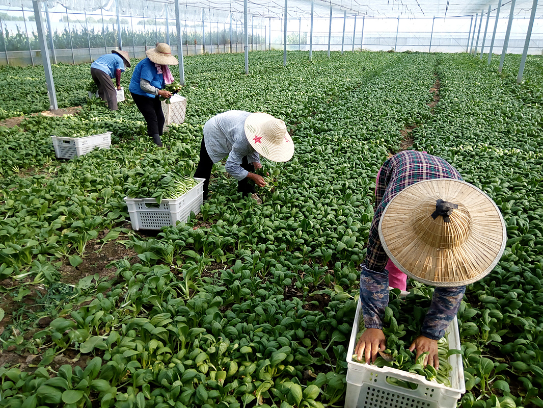 ���g������Ҫ����ʩ�ʣ�ע���������Щ��