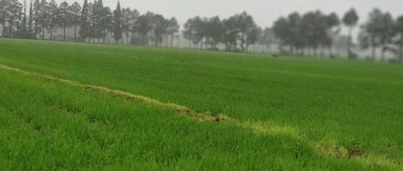 ֲ���{����ʹ�ò����������ճ�׌�˰l�ţ�