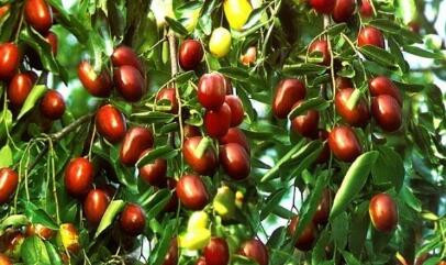 ����ʩ�ʺ���Ҫ��֔����֔��