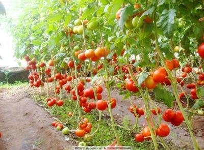 ���ѿ��ٸ߮a���g,�㲻֪���ҁ����V�㣡