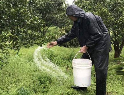 ����(sh��)ʩ�ʞ��Ҫ��ʩ��