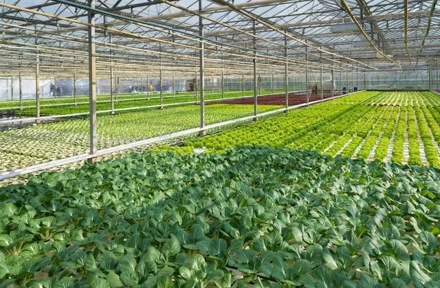 ˮ�ܷʣ��ƌW�_���������a��Ȼ�ɣ�