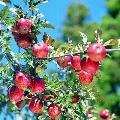 ����׌���@���|(zh��)���a(ch��n)�����@������ʼ��g(sh��)