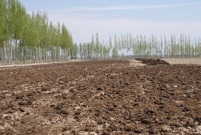 �r�ҷʼ�һ�c�����ӄ�������Ч�͕�����������ǧ�f�����@ô����