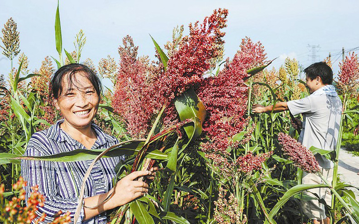 ����ʲô�r��Nֲ���������g�������g����Щ��