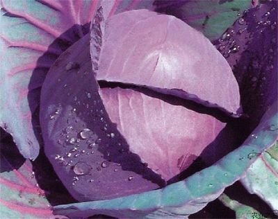 �ϸ��{���Ĳ��ķ��κܺ��� �㲻֪���ҁ����V����