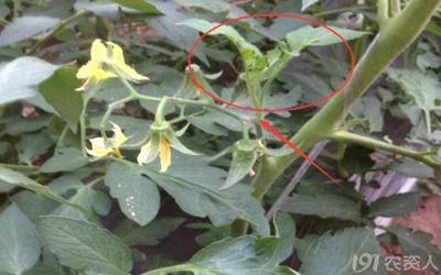 ���t��������ԓ�����M(j��n)�й�����